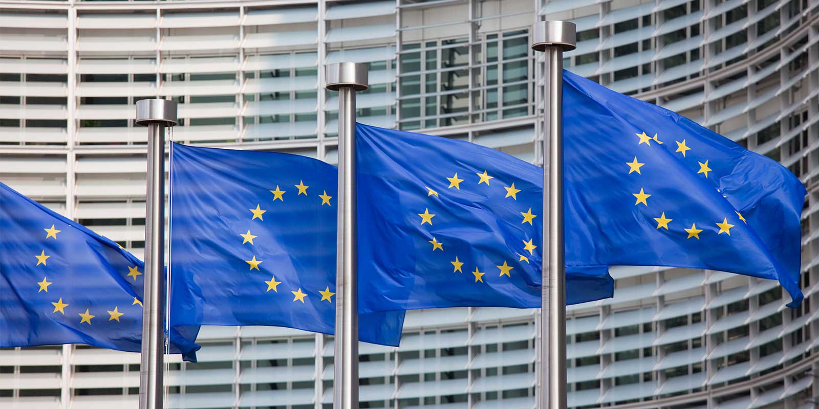 EU flags